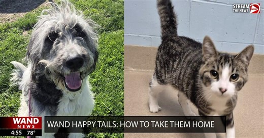WAND's Happy Tails featuring Lamb Chop and Mars