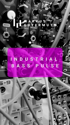 Industrial Bass Pulse Markus Gutermuth #modular #synth #live #techno #sounddesign #electronicmusic