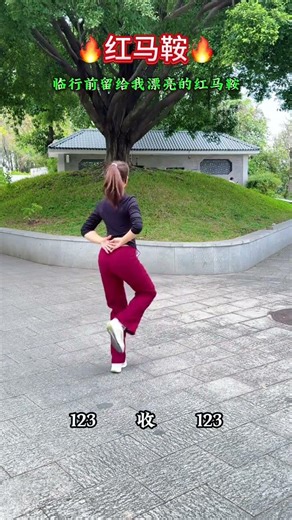 Learn Square Dancing for Beginners: Easy Steps to Master the Basics