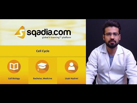 Cell Cycle | Introduction