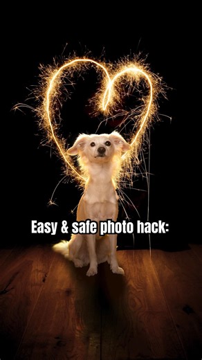 VIRAL PHOTO HACK 2026 🎇 #dog #photography #2026 #sparkler