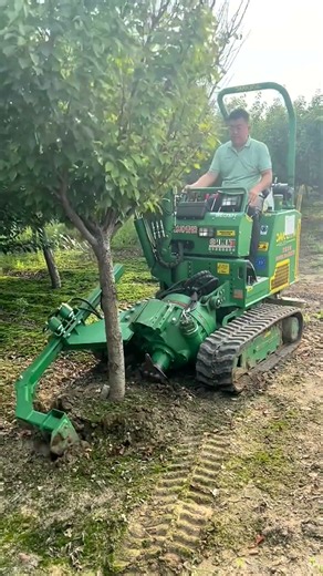 🍃⛏ Digging Up A Young Tree With Its Root Ball Using A Tree Spade