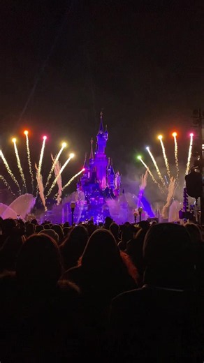 Disneyland Paris New Year's Eve: Fireworks & AP Experience ✨