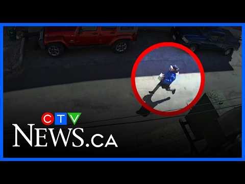 'Ripped the chain off my neck': Jewelry stolen from seniors