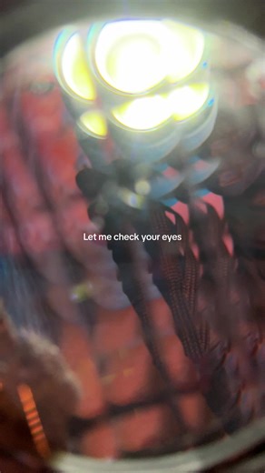 sit down and let me check you eyes | asmr eye exam