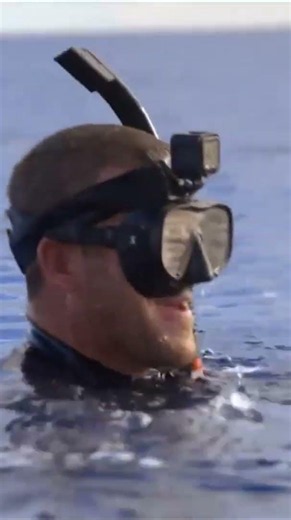 Putting a camera on a shark (by hand)?! 😱 | World's Biggest Tiger Shark