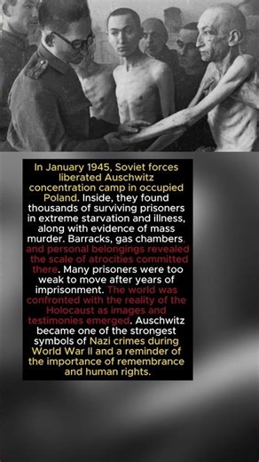 “The Liberation of Auschwitz: What Soldiers Saw 💔”