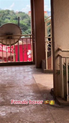 Female Boxer from Uganda with Dreadlocks at Bryan Barber 256 Barbershop