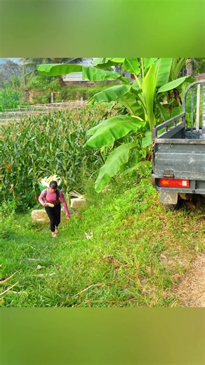 Village Farm Life Garden Build: Daily Farm & Garden Routine