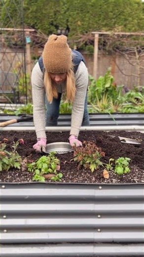 Easy In-Ground Composting for Small Gardens