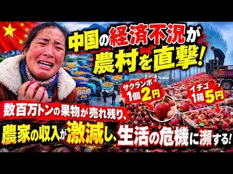中国の経済不況が農村を直撃！数百万トンの果物が売れ残り、サクランボは1個2元、イチゴは1箱5元に暴落――農家の収入が激減し、生活の危機に瀕する！#中国