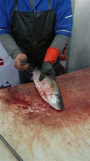 Fish Fillet Tutorial: Removing Hard Bones Like a Pro