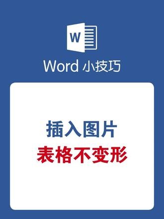 Word插入图片表格不变形 #word #wps #office办公技巧 #办公技巧 #干货分享