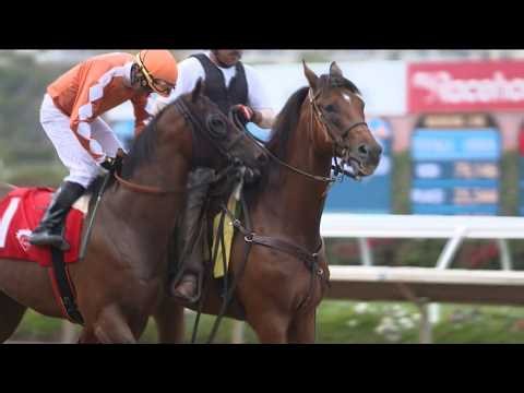 Bing Crosby season opens at Del Mar in November