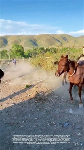 Wild horse roping in mountain pasture