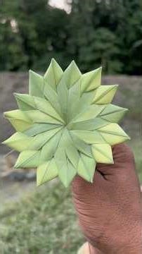 Making lotus flowers from palm leaves. #sorts #making #lotusflower #lotus #flowers