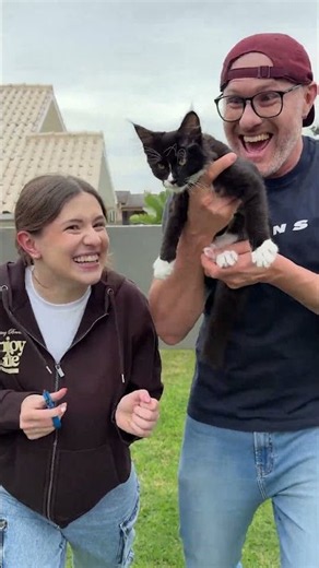 Como cortar a unha do gatinho 🐱✂️