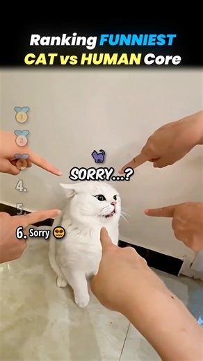 Ranking FUNNIEST CAT vs HUMAN Core Moments!! 🐱🥊