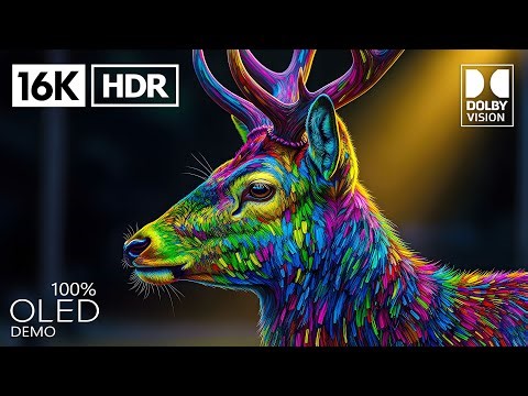 Stunning World of HDR 16K OLED at 120 FPS | Dolby Vision (8K/4K TV)