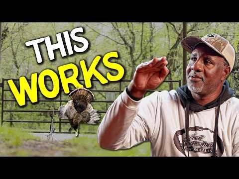 Simple Turkey Hunting Tips That Actually Work