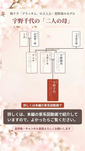 宇野千代の「二人の母」｜実母トモと継母リュウ #朝ドラ #ブラッサム #shorts #家系図
