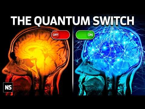 The Experiment That Could Explain Consciousness