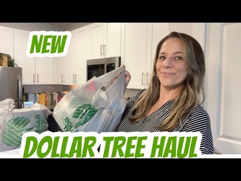 DOLLAR TREE HAUL | NEW | AMAZING FINDS