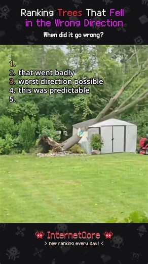 Ranking Trees That Fell in the Wrong Direction 🌲💀 #fails #treefails #logging #ranking #internetcore