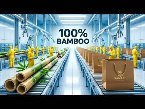 Inside the Paper Bag Factory: From Bamboo to Your Hands