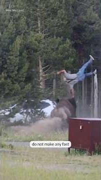 Man recovering from surgery after bison attack at Yellowstone, as experts share safety warning