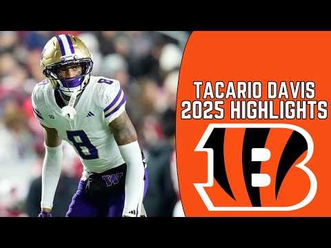Tacario Davis Highlights 🔥 | Welcome to the Bengals