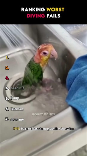 Ranking Worst Diving Fails 😭🥀🙏🏻