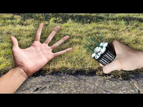 WHAT HAPPENS IF FIRECRACKER EXPLODES IN THE HAND? - Experiment