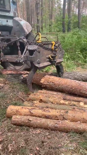 Practical Solution on a Tractor – Hydraulic Log Grapple