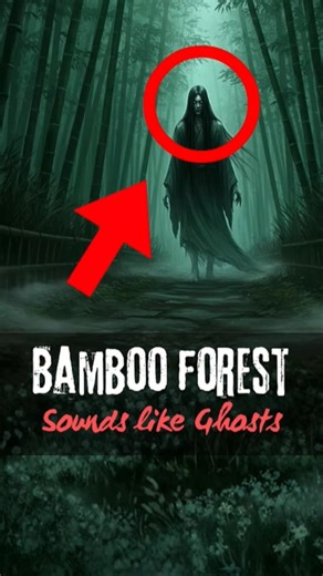 Top 3 Scariest Trees That Make Terrifying Sounds