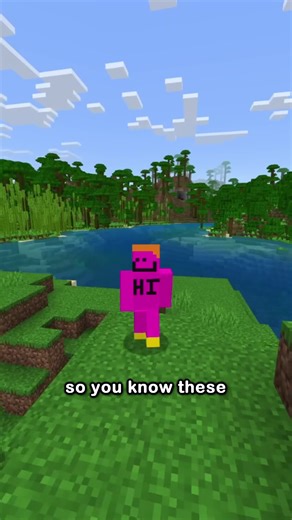 Bedrock Loading Screen Tips: Debunked and Corrected