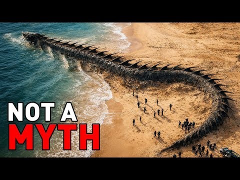 Loch Ness Cryptid Finally Found? - 5 Mythical Creatures That Really Existed