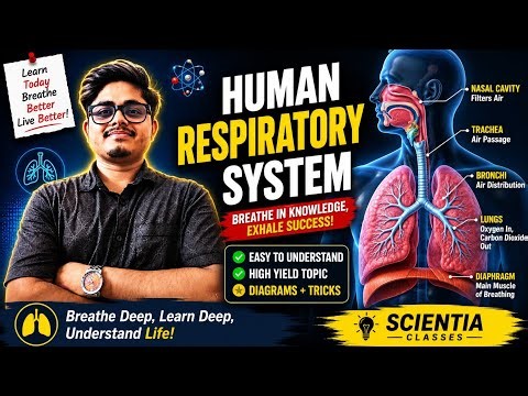 🫁 HUMAN RESPIRATORY SYSTEM in 10 Minutes |Easy Notes & Flowchart #experiment #science #biology
