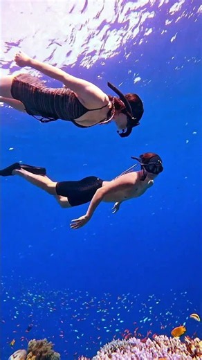 이집트 다합 블루홀 프리다이빙 프리다이브씨담 커플 프리다이빙 현장 #다합프리다이빙 #freediving #dahab