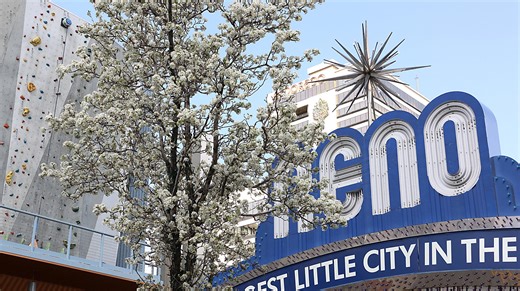 Spring is here. See the Old Farmer's Almanac's weather prediction