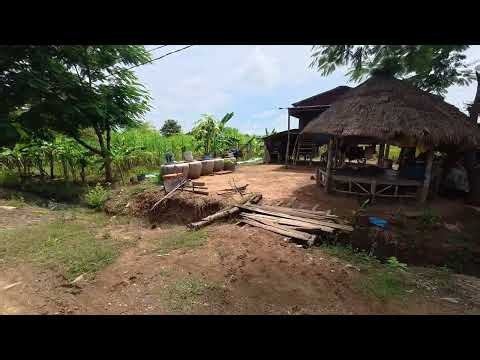 No Talking, Just Walking | Peaceful Rural Village in Cambodia 🇰🇭