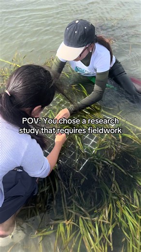 SHS Student Research: Seagrass Ecology Fieldwork POV