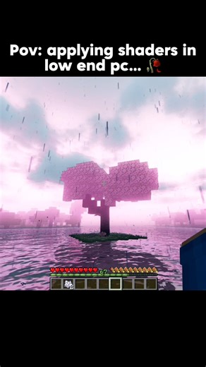 Pov: applying shaders in low end pc #minecraft
