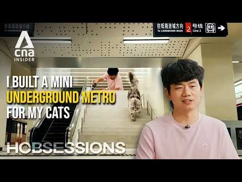This Chinese Millennial Built A Miniature City For His Cats | Hobsessions