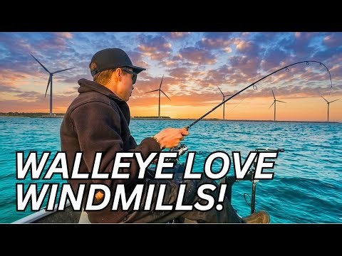EVERYONE knows this SPOT | Walleye fishing Lake Erie