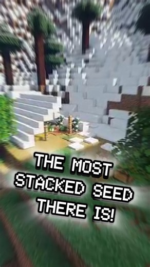 THE MOST STACKED SEED EVER! #minecraft #seed #smp #showcase #facts #aesthetic #village #ambient