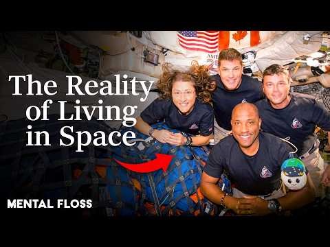 What Astronauts REALLY Experience Living In Space | Mental Floss