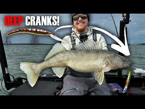The Lake Erie Trolling Bite is ON! Deep Crankbaits for Giant Walleyes