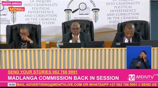 Witness E tells the #MadlangaCommission that in July 2017 he uncovered a plan to assassinate Sindiso Magaqa and immediately reported it to his SAPS superiors, including recommendations on how to prevent it, but says his warnings were ignored. ANC Youth League secretary, Sindiso Magaqa was assassinated in September, 2017. | MDN News