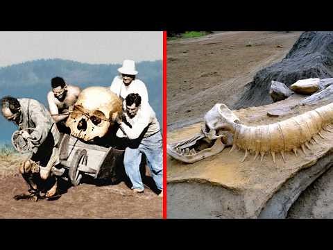 Unexplained Fossil Discoveries That Challenge Evolution